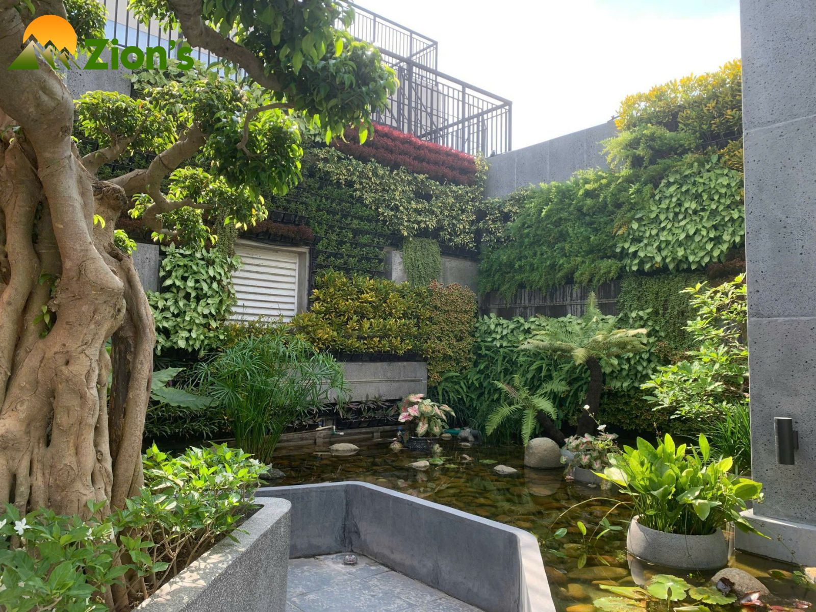 Thiết kế vườn sân thượng tại chung cư mỹ đình